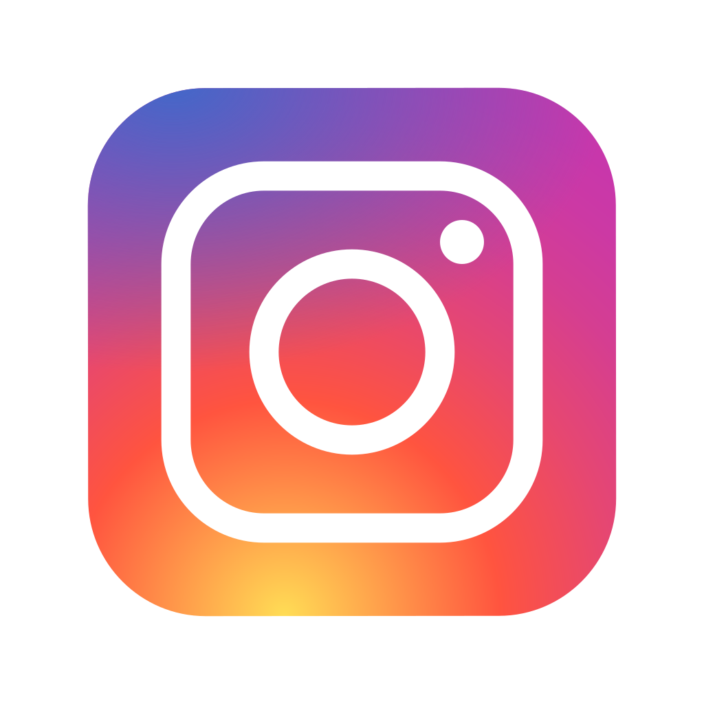 Instagram logo on The True Marketer Website